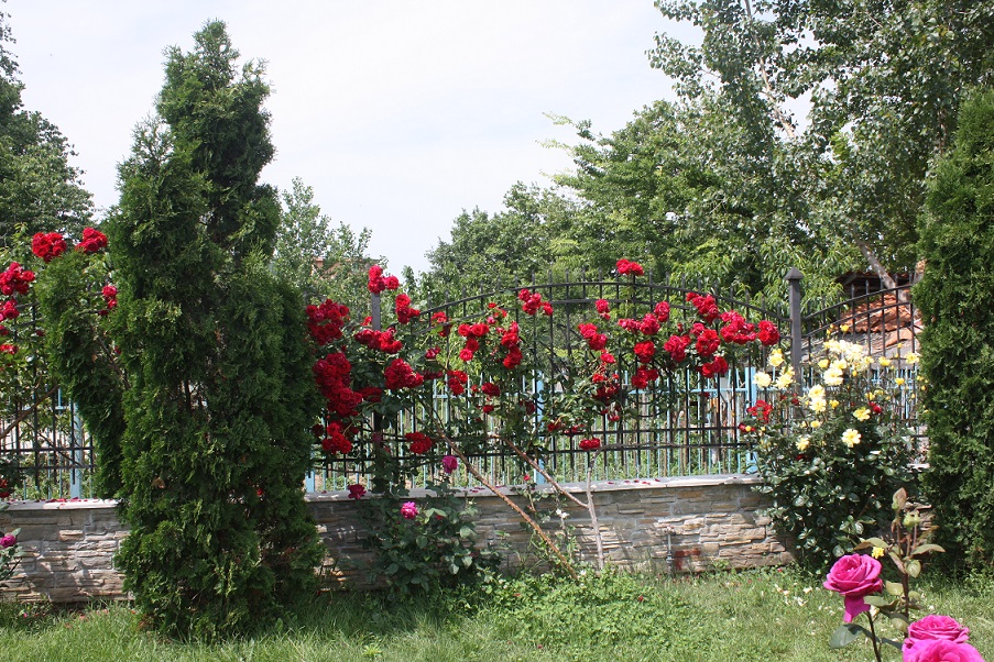 Болгария отели_2012 1073.jpg